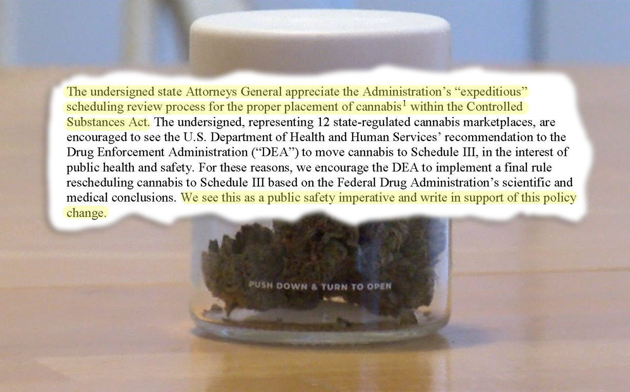 Cannabis