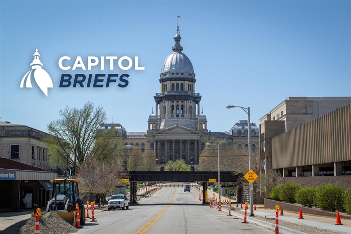 (Illustration by Capitol News Illinois)