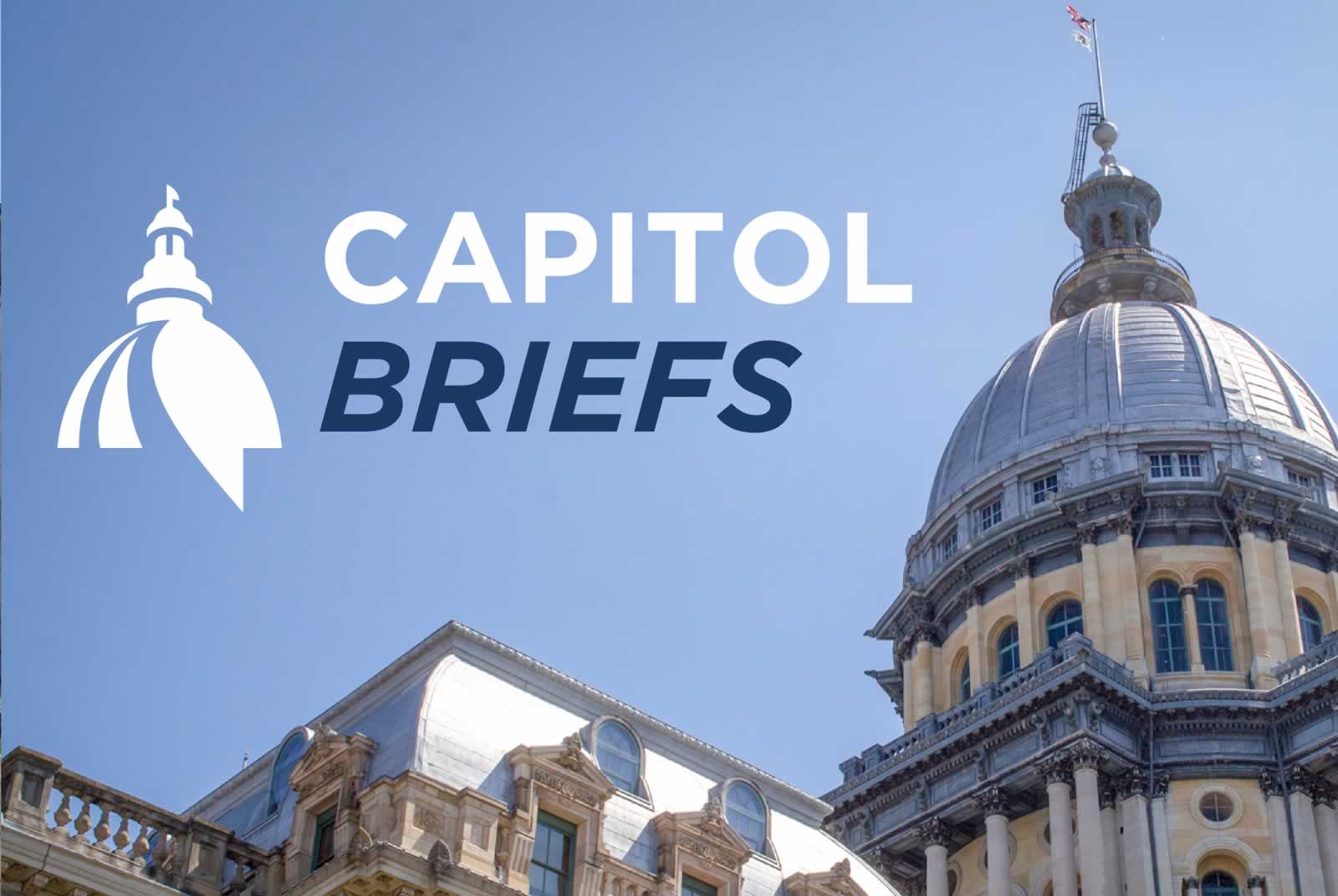 Capitol Briefs
