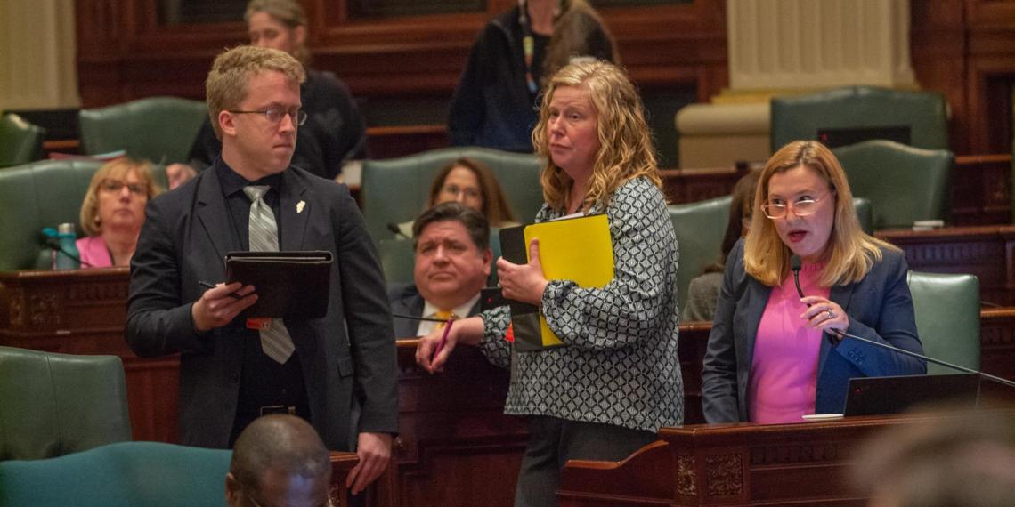 State Rep. Anna Moeller, D-Elgin, speaks on the House floor