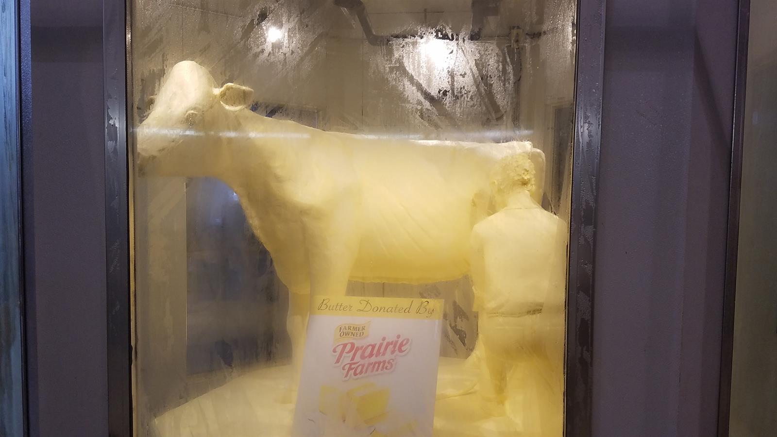 butter cow