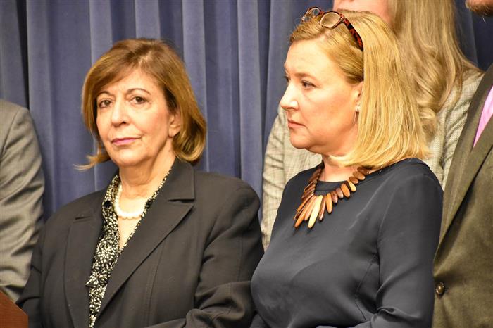 Reps. Sara Feigenholtz and Anna Moeller on DCFS Caucus