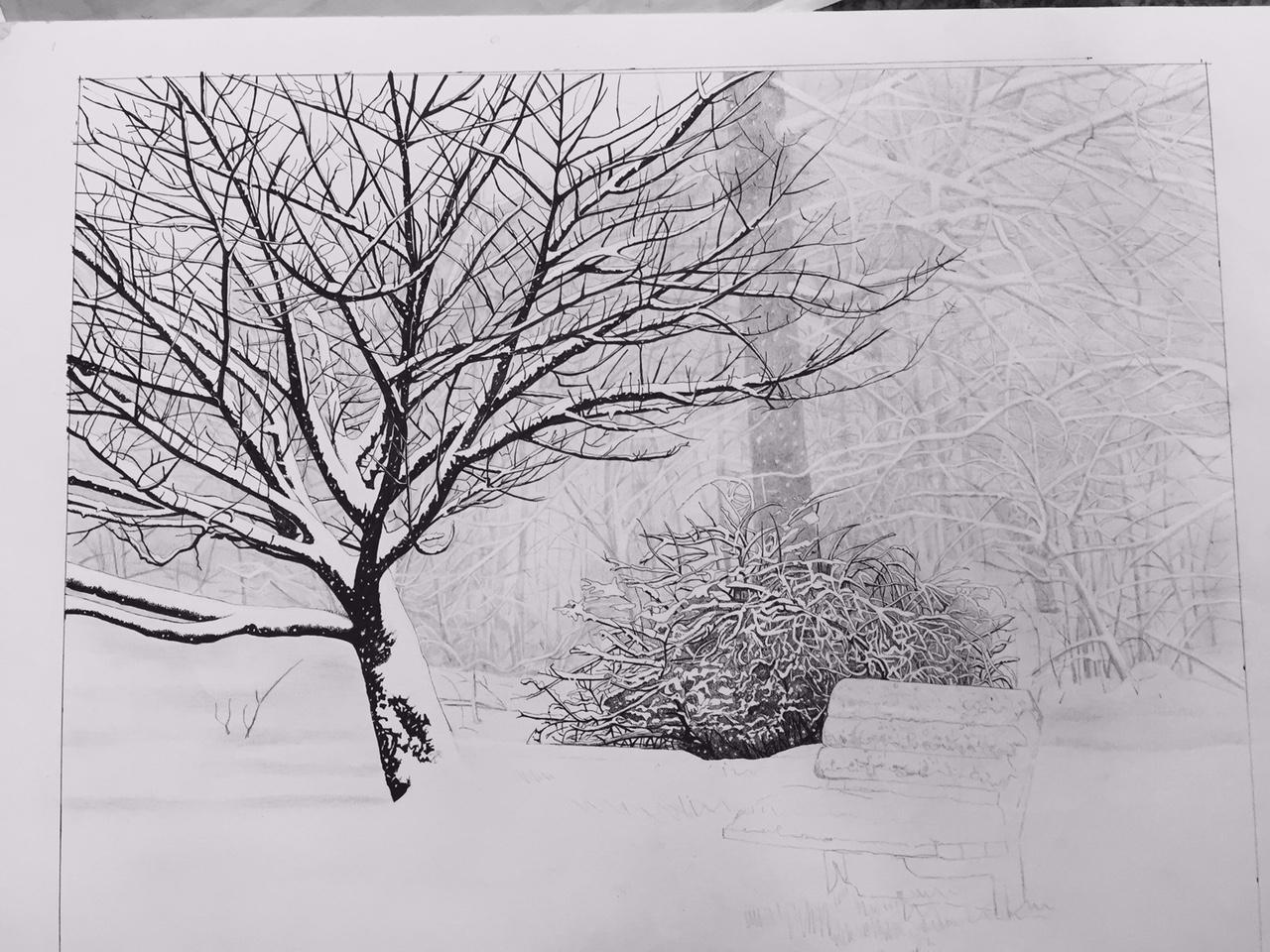 Winter Snow Scenery