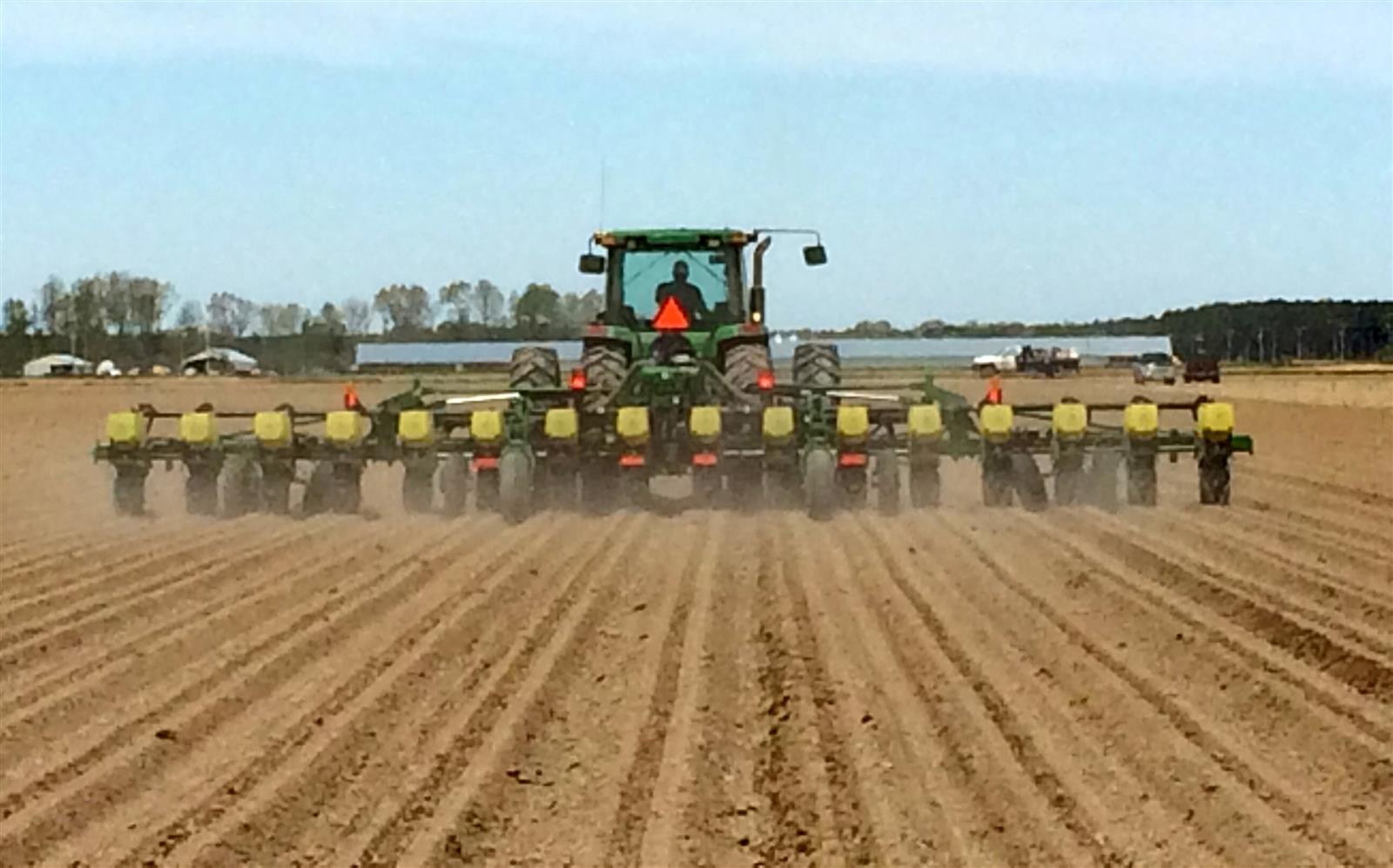 Farmers cautious about corn, soybean season despite projected rise in plantings
