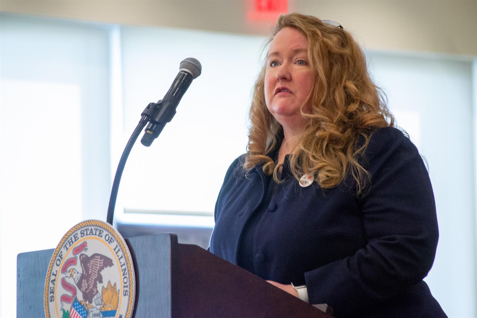 Nursing home group at odds with Pritzker over payment reform