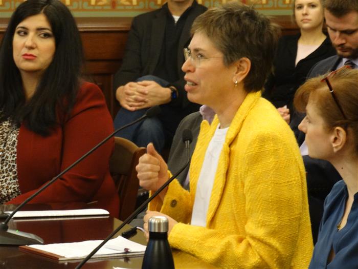 ETHICS PANEL SHEILA SIMON 013020