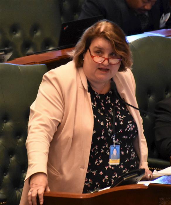 FOID overhaul moves forward despite constitutional concerns