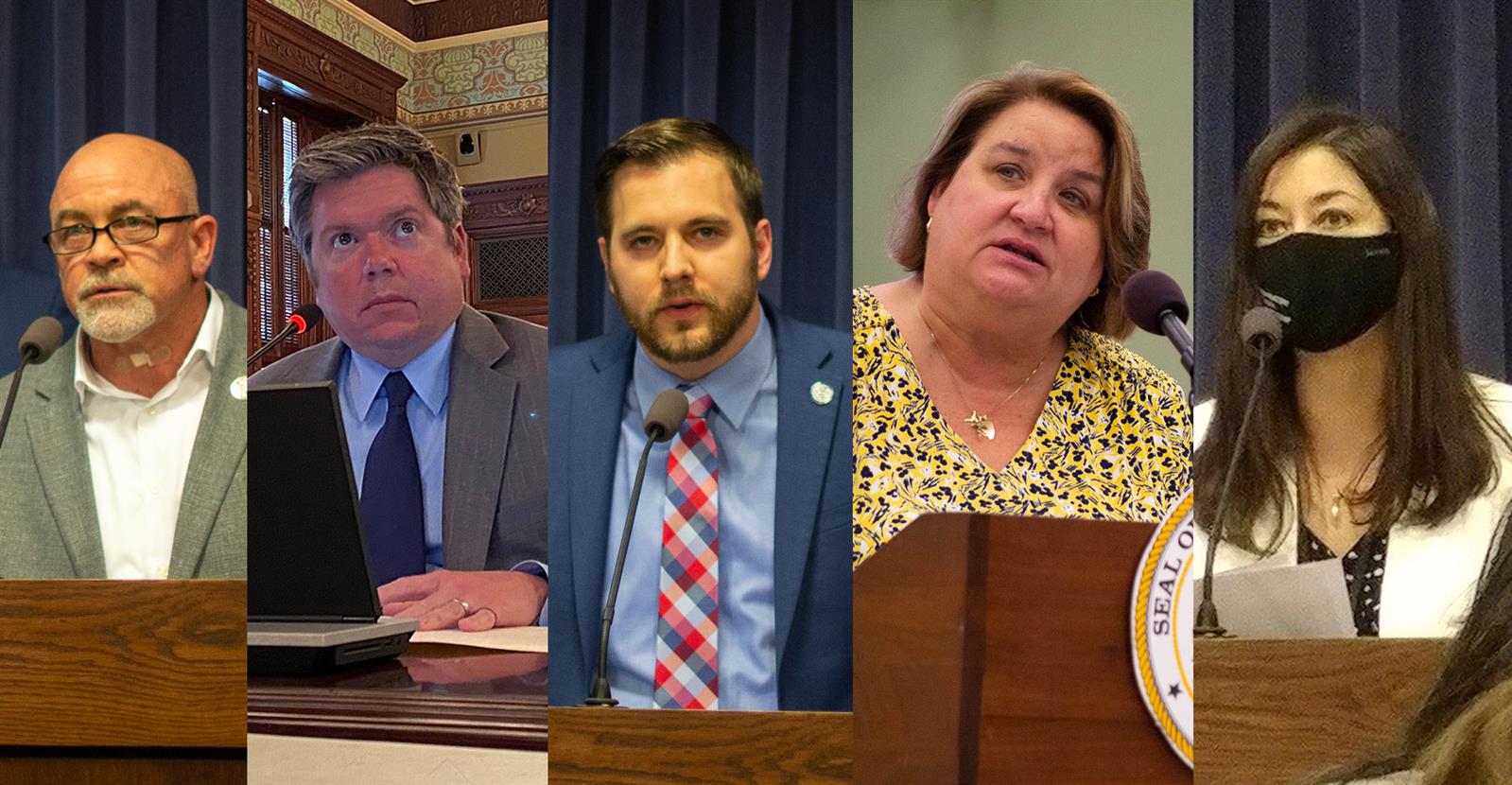 Reps. Mark Luft, Mike Zalewski, David Welter, Kathleen Willis and Denyse Wang Stonebac
