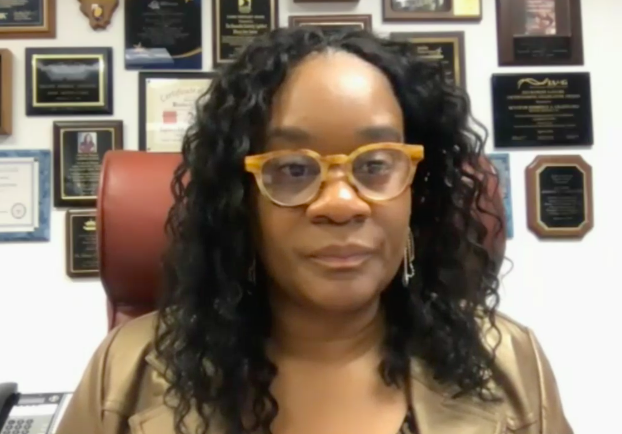 Senate committees discuss inequity in education, employment