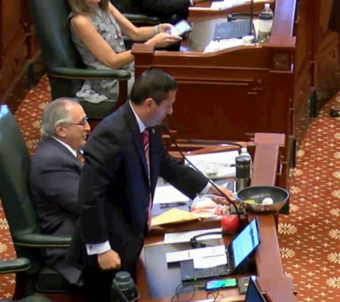 Illinois House sends marijuana legalization to Gov. Pritzker