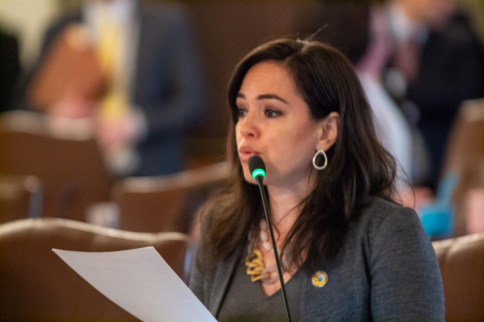Sen. Cristina Pacione-Zayas is pictured on the floor of the Illinois Senate. (Capitol News Illinois photo by Jerry Nowicki)