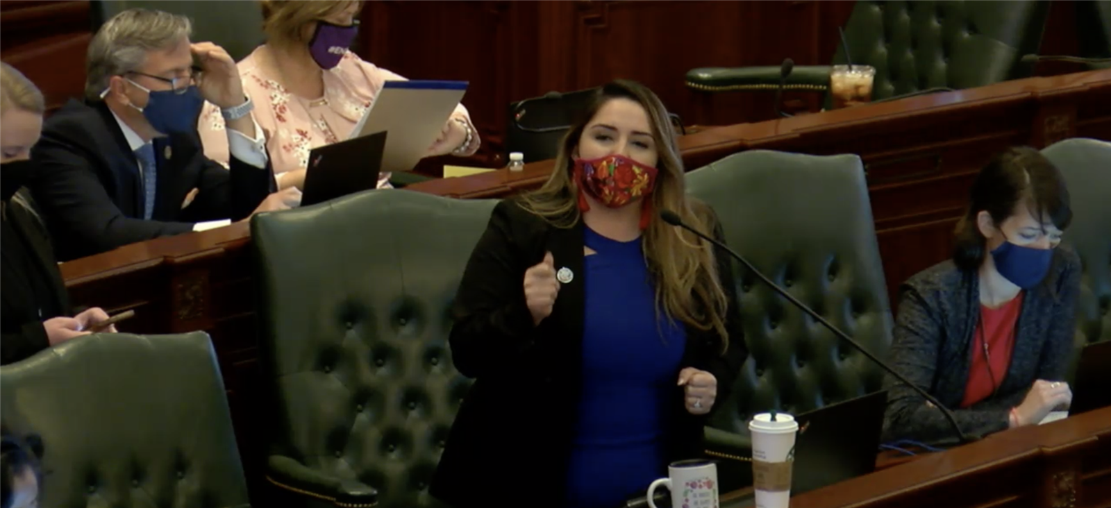 Elected Chicago school board bill passes House