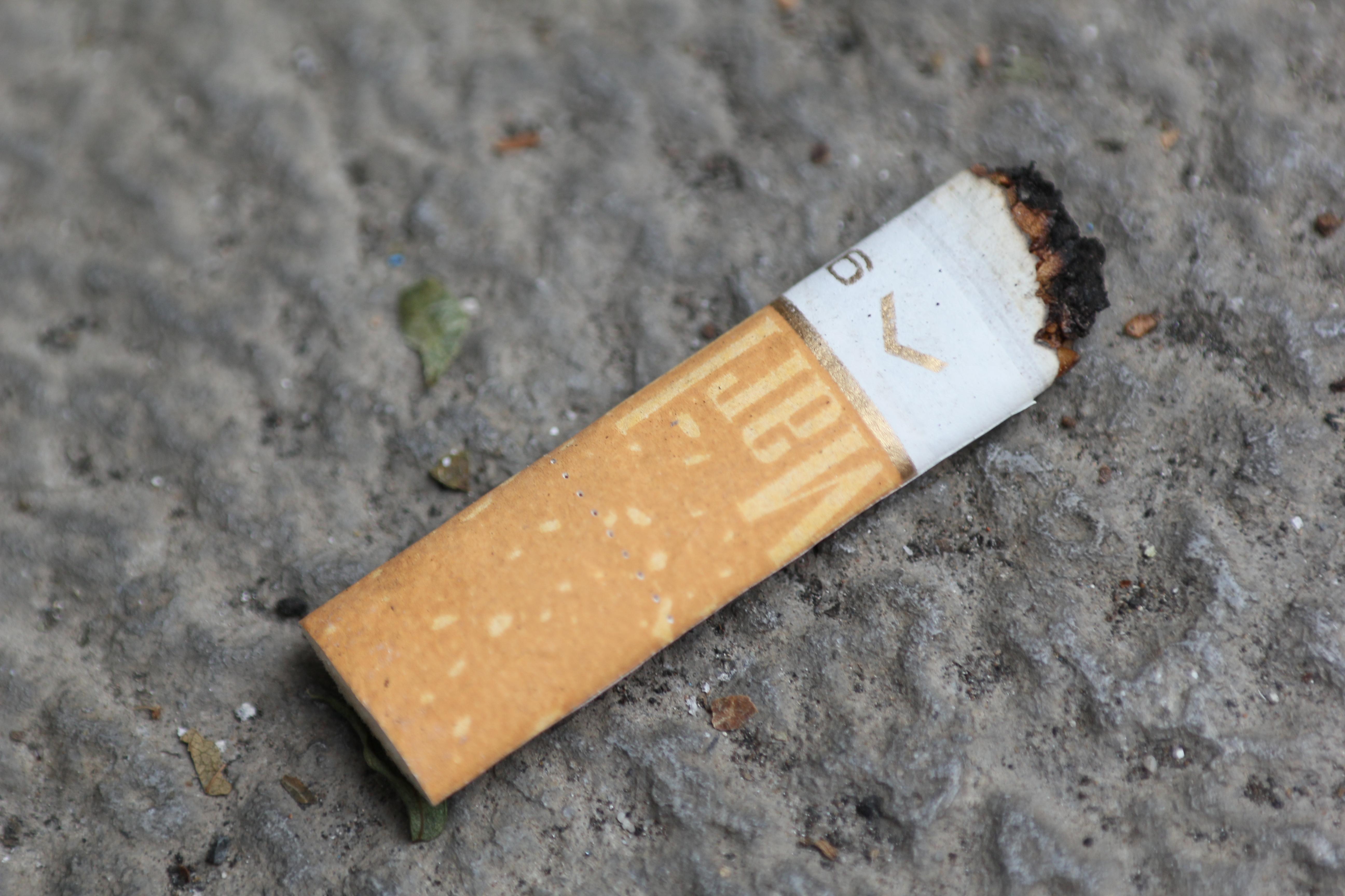 Cigarette Butt