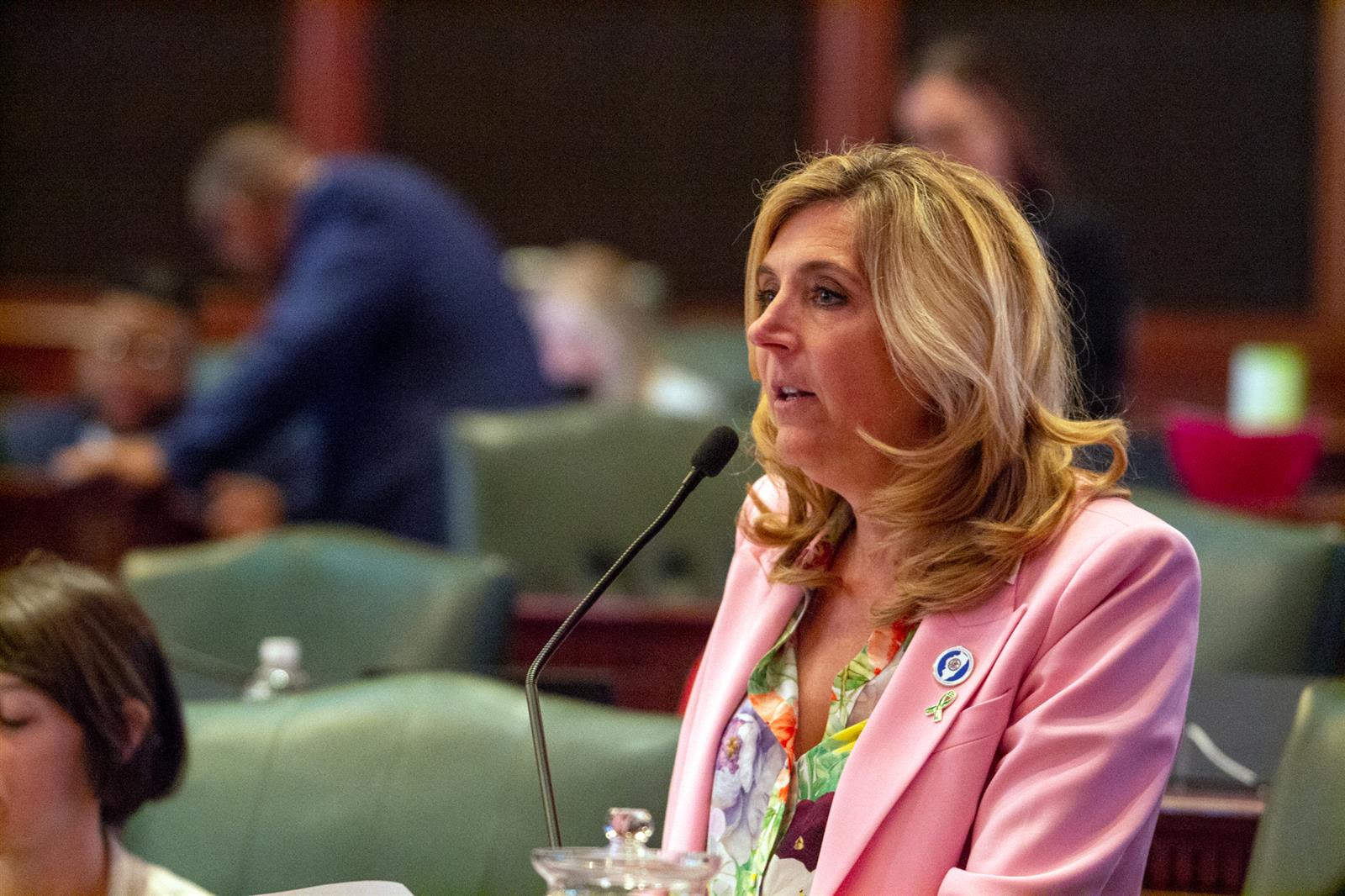 State Rep. Terra Costa Howard