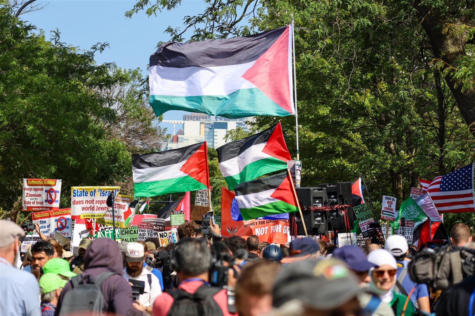 Palestinian flags
