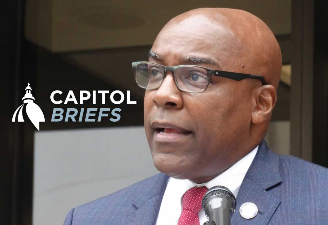 Kwame Raoul