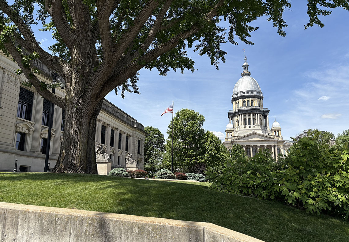 The Illinois Capitol