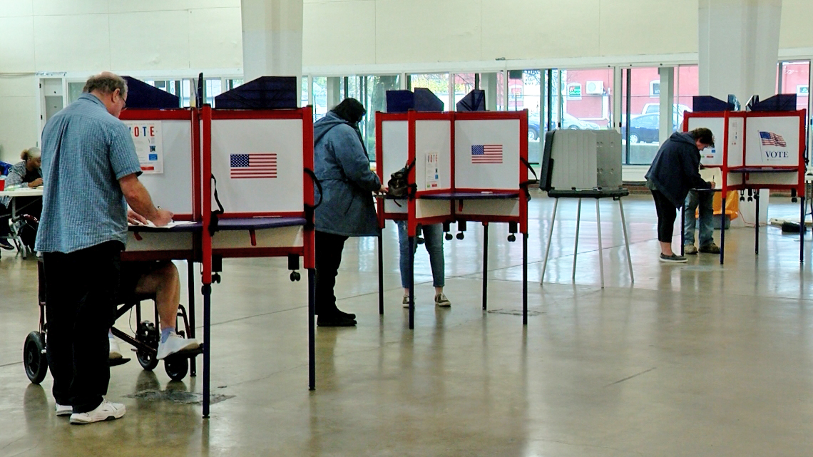 Voters cast their ballots.