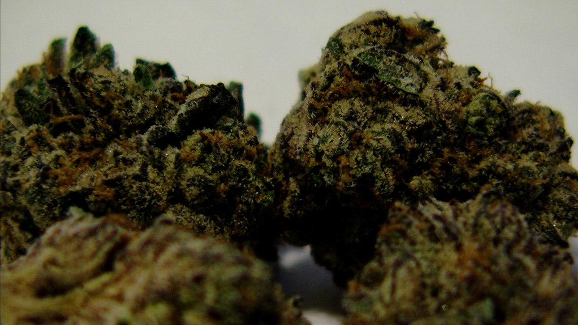 marijuana