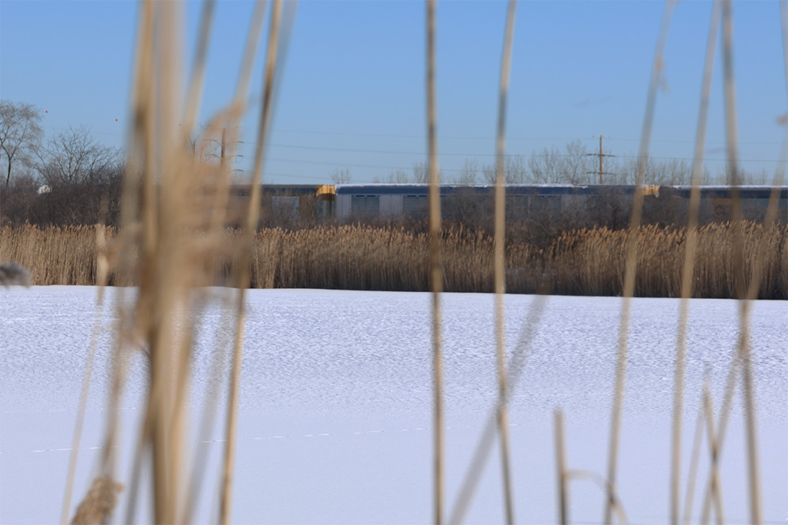 Snowed over marsh with freight train passing by.
